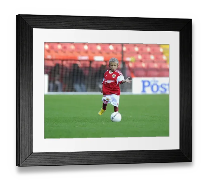 Framed Print : Mascot Showdown: Bristol City vs Oldham Athletic at Ashton Gate - November 2013 (Sky Bet League One)