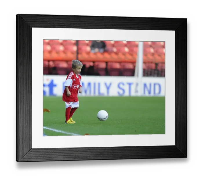 Framed Print : Bristol City vs Oldham Athletic: A Football Rivalry Burns at Ashton Gate (November 2013) Framed Print : Bristol City vs Oldham Athletic: A Football Rivalry Burns at Ashton Gate (November 2013)