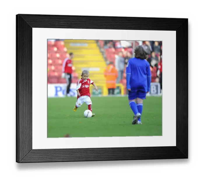 Framed Print : Bristol City vs Oldham Athletic: Mascots Face-Off at Ashton Gate