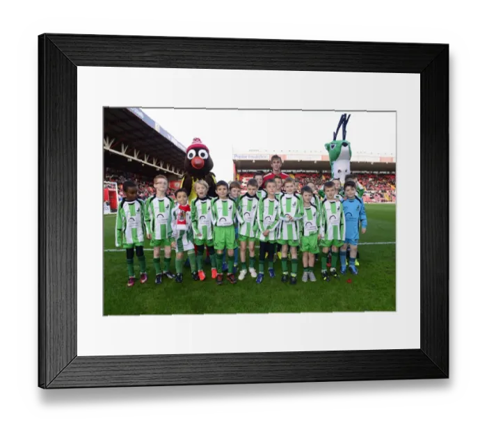 Framed Print : Bristol City vs Oldham Athletic: Sky Bet League One Clash at Ashton Gate - November 2013 Framed Print : Bristol City vs Oldham Athletic: Sky Bet League One Clash at Ashton Gate - November 2013