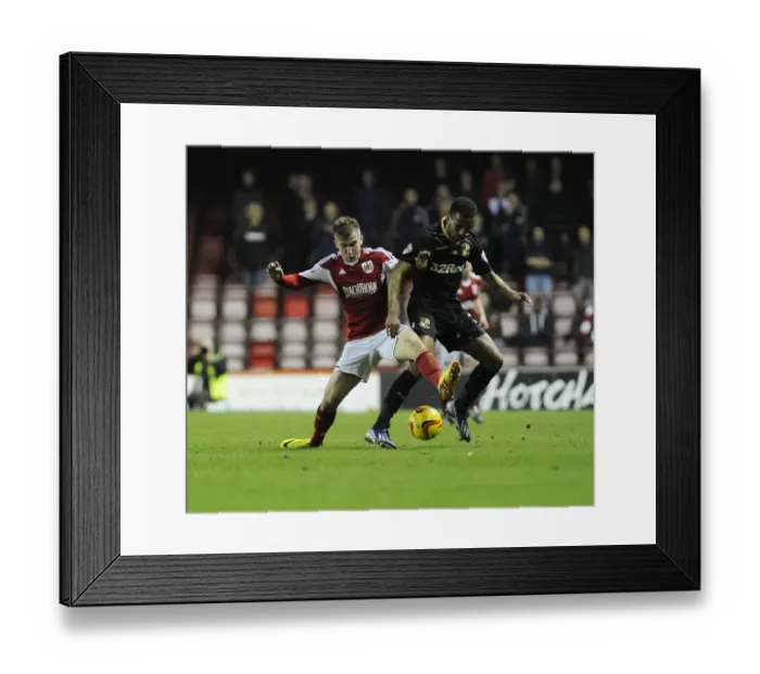 Framed Print : Bristol City v Crawley Town 051113