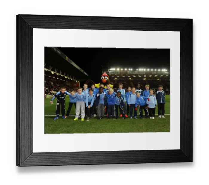 Framed Print : Bristol City vs Crawley Town: Flag Bearers at Ashton Gate, Sky Bet League One (November 2013)