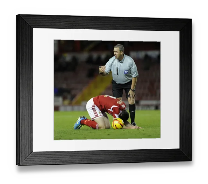 Framed Print : Bristol City's Brendan Moloney Suffers Injury in Sky Bet League One Clash Against Crawley Town Framed Print : Bristol City's Brendan Moloney Suffers Injury in Sky Bet League One Clash Against Crawley Town
