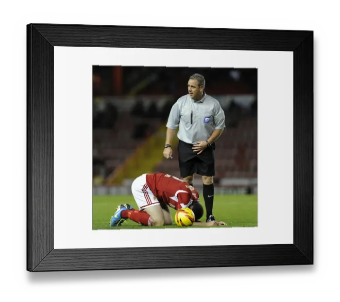 Framed Print : Bristol City's Brendan Moloney Suffers Injury During Sky Bet League One Match Against Crawley Town Framed Print : Bristol City's Brendan Moloney Suffers Injury During Sky Bet League One Match Against Crawley Town