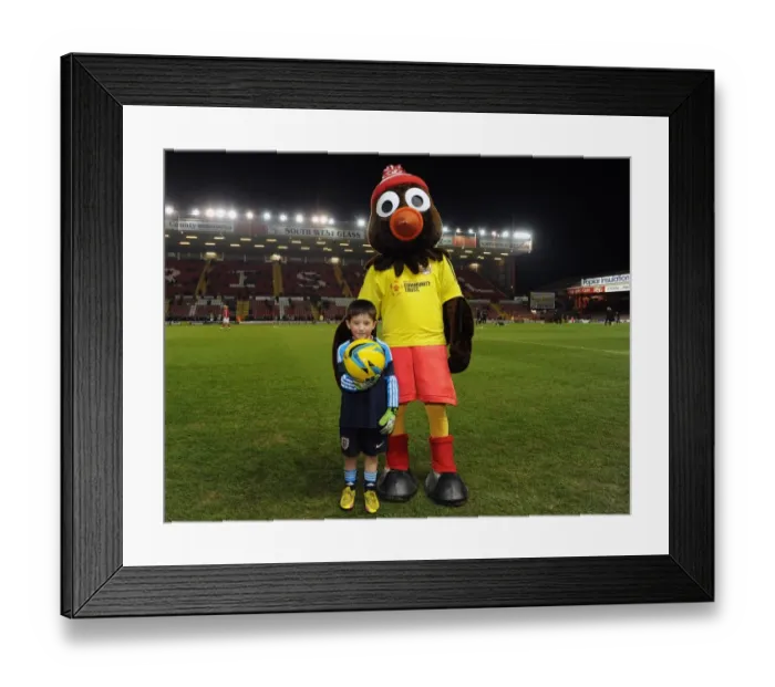 Framed Print : Bristol City vs Leyton Orient: Mascot and Scrumpy at Ashton Gate, 2013 Framed Print : Bristol City vs Leyton Orient: Mascot and Scrumpy at Ashton Gate, 2013