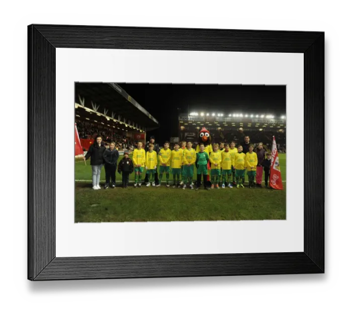 Framed Print : Bristol City vs Leyton Orient: Flagbearers at Ashton Gate, Sky Bet League One (November 2013)