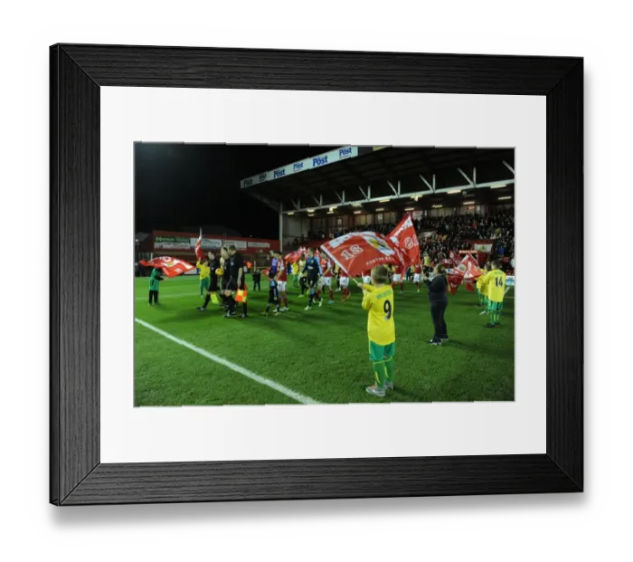 Framed Print : Flagbearers Clash: Bristol City vs Leyton Orient, Sky Bet League One (November 2013) Framed Print : Flagbearers Clash: Bristol City vs Leyton Orient, Sky Bet League One (November 2013)