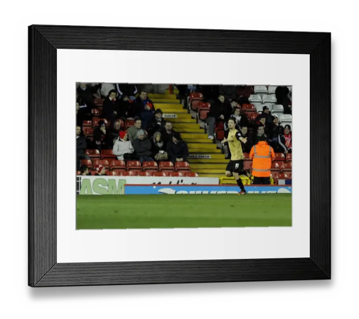 Framed Print : David Mooney's Goal Celebration: Bristol City vs Leyton Orient, Sky Bet League One, 2013 Framed Print : David Mooney's Goal Celebration: Bristol City vs Leyton Orient, Sky Bet League One, 2013