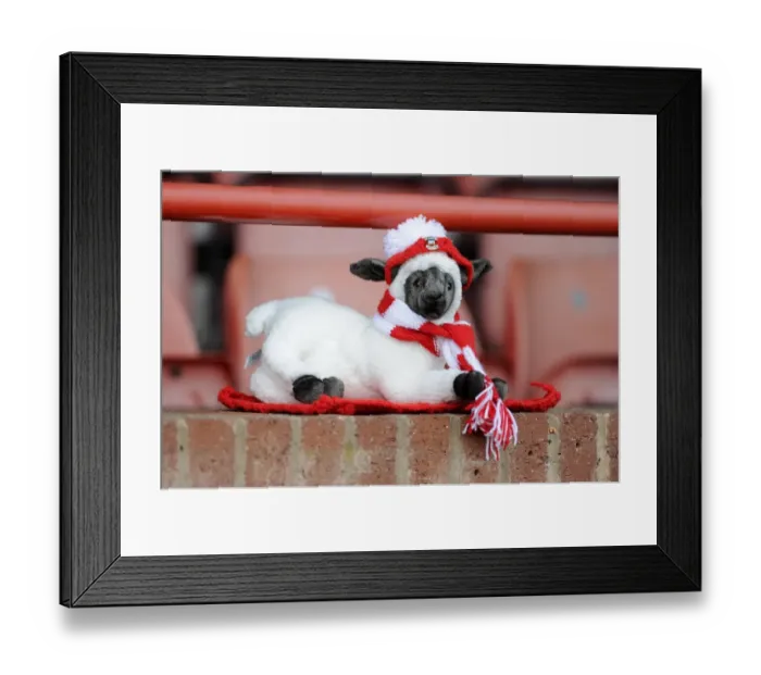 Framed Print : Bristol City in FA Cup Action at Tamworth's The Lamb Ground (08 / 12 / 2013)