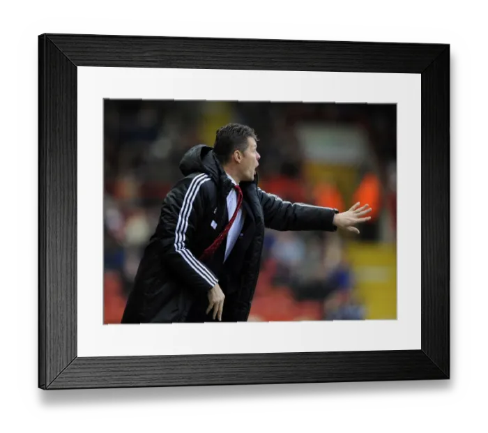 Framed Print : Steve Cotterill Leads Bristol City in Sky Bet League One Clash Against Rotherham United (14 / 12 / 2013) Framed Print : Steve Cotterill Leads Bristol City in Sky Bet League One Clash Against Rotherham United (14 / 12 / 2013)