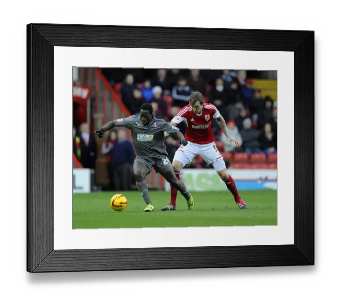 Framed Print : Bristol City vs Rotherham United: Sky Bet League One Clash at Ashton Gate, 14th December 2013