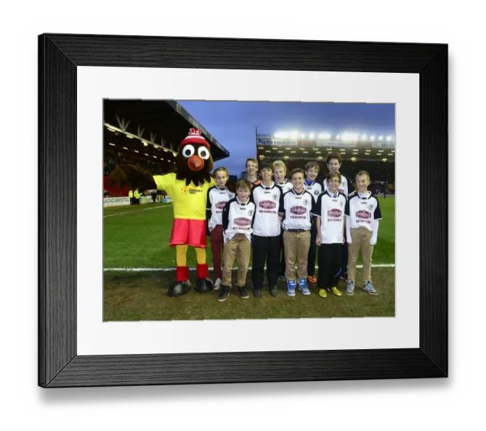 Framed Print : Flag-Waving Frenzy: Bristol City vs Rotherham United, Sky Bet League One (December 14, 2013)