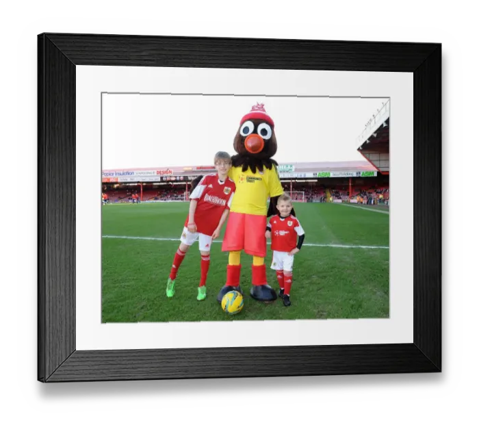 Framed Print : Bristol City Football Club: Mascots Celebrate Holiday Spirit with Scrumpy at Ashton Gate (Bristol City v Walsall, Sky Bet League One)