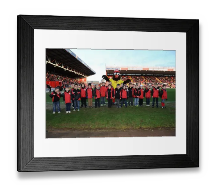 Framed Print : Bristol City vs Walsall: Flagbearers at Ashton Gate, Sky Bet League One, 2013