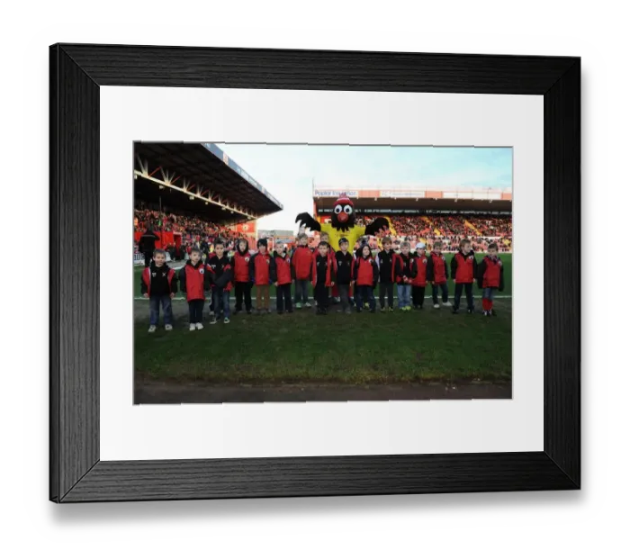 Framed Print : Flagbearers in Action: Bristol City vs Walsall, Sky Bet League One (December 2013)