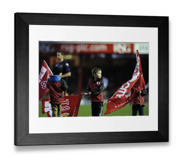 Framed Print : Bristol City vs Walsall: Flag-Bearing Fans at Ashton Gate, 2013 Framed Print : Bristol City vs Walsall: Flag-Bearing Fans at Ashton Gate, 2013