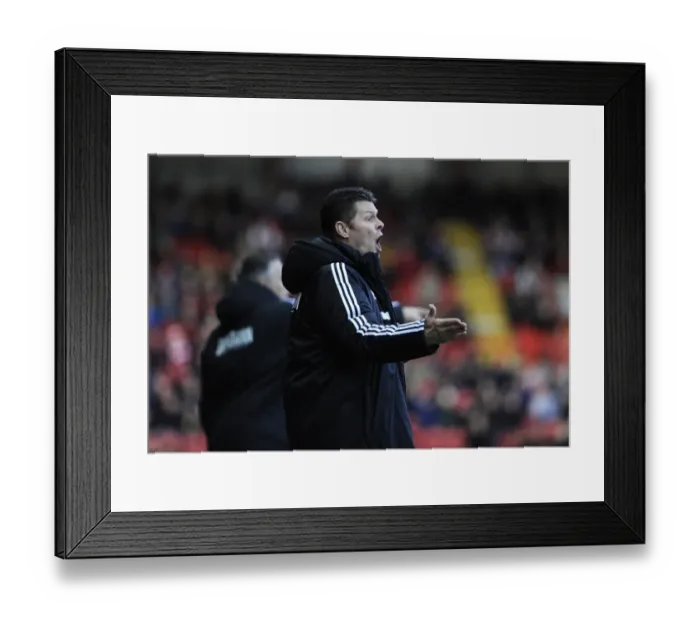 Framed Print : Steve Cotterill Leads Bristol City in League One Clash Against Walsall (December 26, 2013)