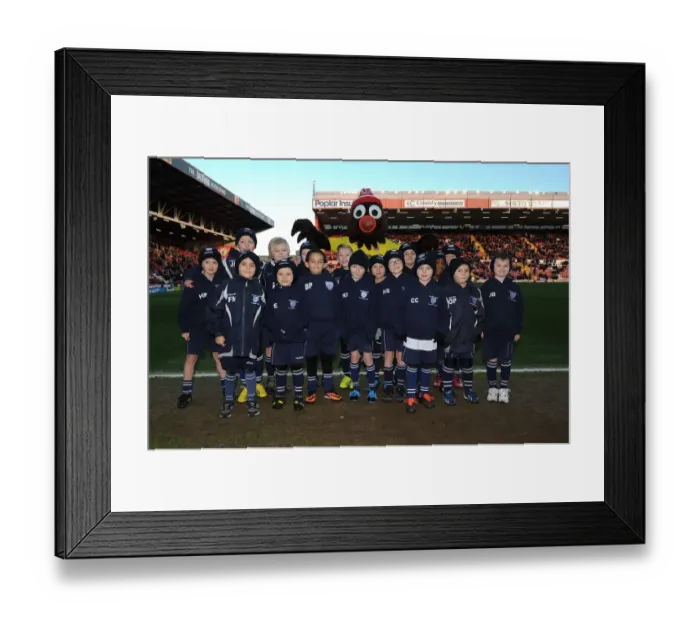 Framed Print : Bristol City vs Stevenage: Flagbearers at Ashton Gate, Sky Bet League One (December 2013)