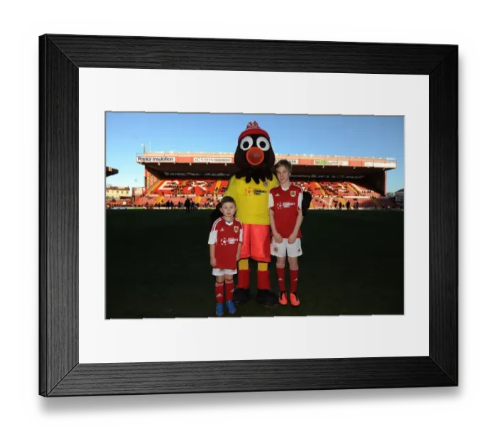 Framed Print : Intense Showdown: Sky Bet League One Battle – Bristol City vs. Stevenage at Ashton Gate Framed Print : Intense Showdown: Sky Bet League One Battle – Bristol City vs. Stevenage at Ashton Gate