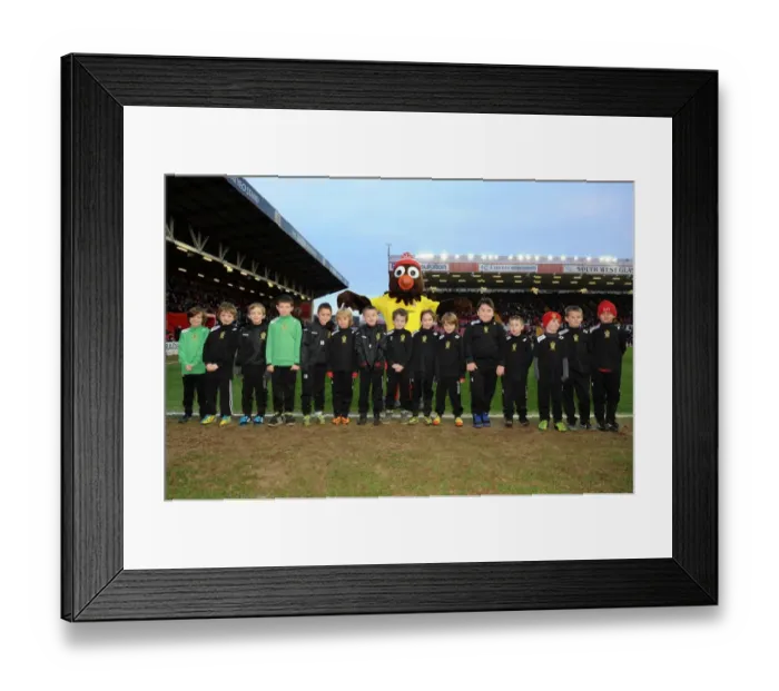Framed Print : Flag Bearers of Ashton Gate: Bristol City vs. Stevenage, Sky Bet League One (December 2013) Framed Print : Flag Bearers of Ashton Gate: Bristol City vs. Stevenage, Sky Bet League One (December 2013)