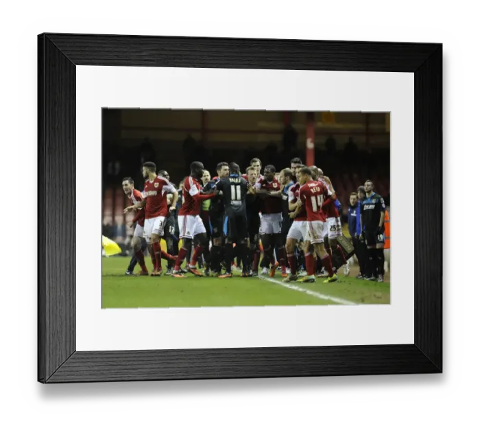 Framed Print : Football Chaos at Ashton Gate: Mass Brawl Between Bristol City and Stevenage Teams, December 2013 Framed Print : Football Chaos at Ashton Gate: Mass Brawl Between Bristol City and Stevenage Teams, December 2013