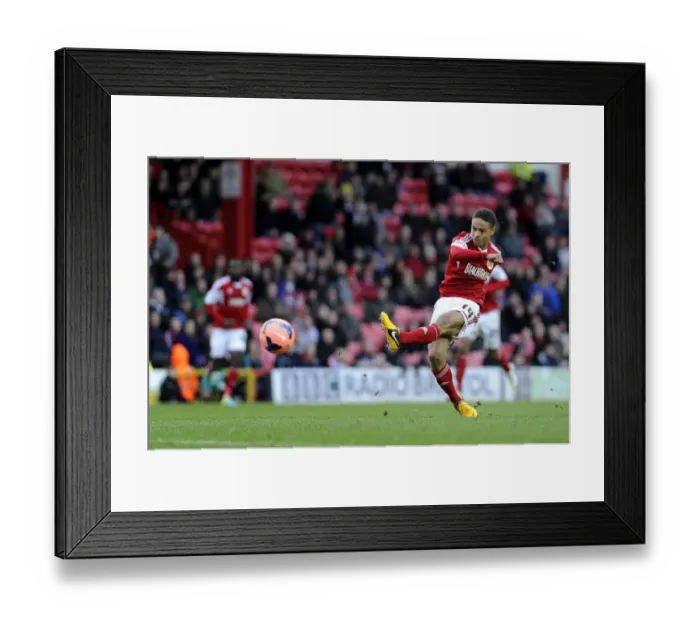 Framed Print : Bobby Reid's Shot at Glory: Bristol City vs. Watford FA Cup Clash, January 2014 Framed Print : Bobby Reid's Shot at Glory: Bristol City vs. Watford FA Cup Clash, January 2014