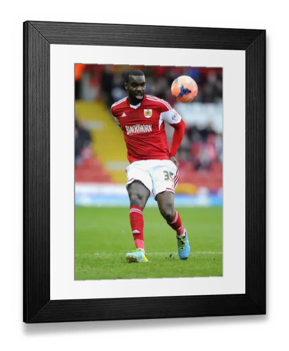 Framed Print : Bristol City vs Watford: FA Cup Third Round Showdown at Ashton Gate Framed Print : Bristol City vs Watford: FA Cup Third Round Showdown at Ashton Gate