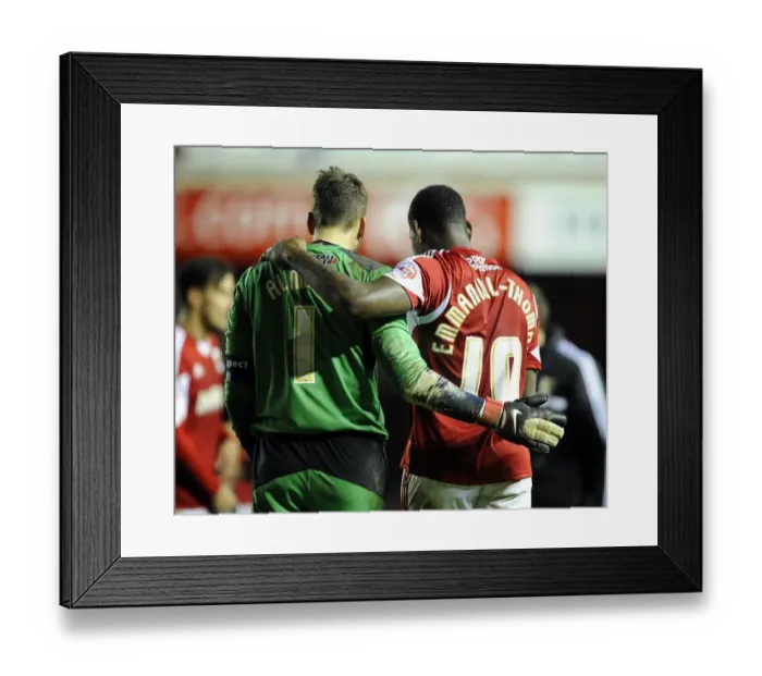 Framed Print : Bristol City v Watford 040114