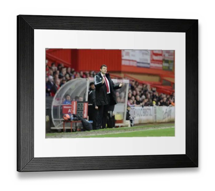 Framed Print : Steve Cotterill Leads Bristol City in FA Cup Battle against Watford Framed Print : Steve Cotterill Leads Bristol City in FA Cup Battle against Watford