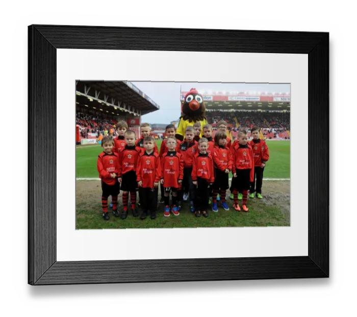 Framed Print : Flagbearers of Bristol City at Ashton Gate during FA Cup Third Round Match against Watford Framed Print : Flagbearers of Bristol City at Ashton Gate during FA Cup Third Round Match against Watford