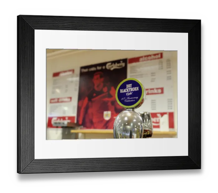 Framed Print : Bristol City vs. Watford: FA Cup Third Round Clash at Ashton Gate Framed Print : Bristol City vs. Watford: FA Cup Third Round Clash at Ashton Gate