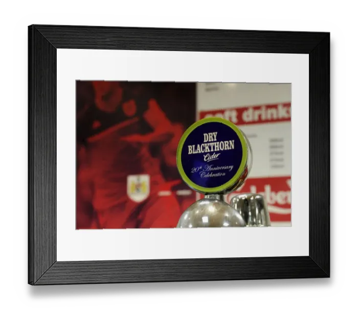 Framed Print : Battle at Ashton Gate: FA Cup Third Round Showdown - Bristol City vs Watford, January 2014