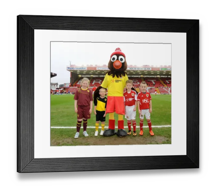 Framed Print : FA Cup Third Round: Bristol City vs. Watford - The Epic Battle at Ashton Gate Framed Print : FA Cup Third Round: Bristol City vs. Watford - The Epic Battle at Ashton Gate