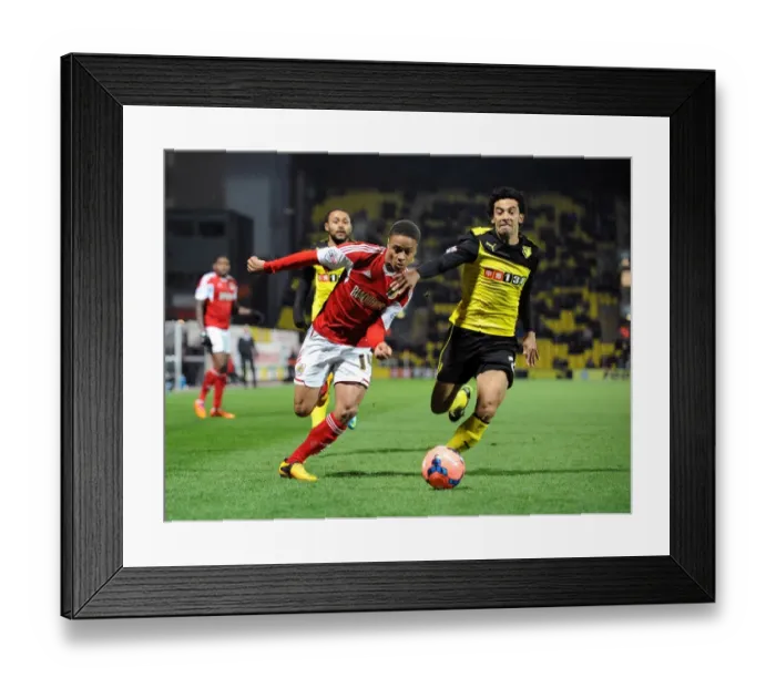 Framed Print : Watford v Bristol City 140114