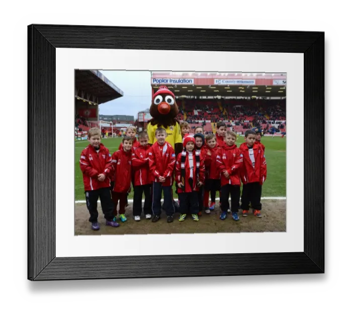 Framed Print : Bristol City v MK Dons Framed Print : Bristol City v MK Dons