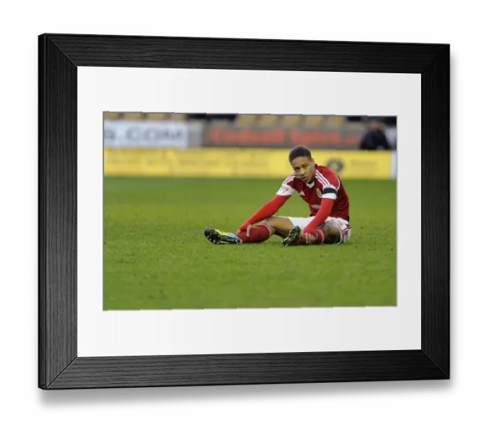 Framed Print : Heartbroken Bobby Reid: Wolves Edge Past Bristol City in January 2014 Framed Print : Heartbroken Bobby Reid: Wolves Edge Past Bristol City in January 2014