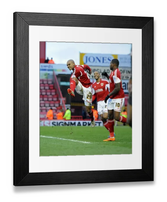 Framed Print : Bristol City vs Carlisle United: Clash at Ashton Gate, 01-02-2014 Framed Print : Bristol City vs Carlisle United: Clash at Ashton Gate, 01-02-2014