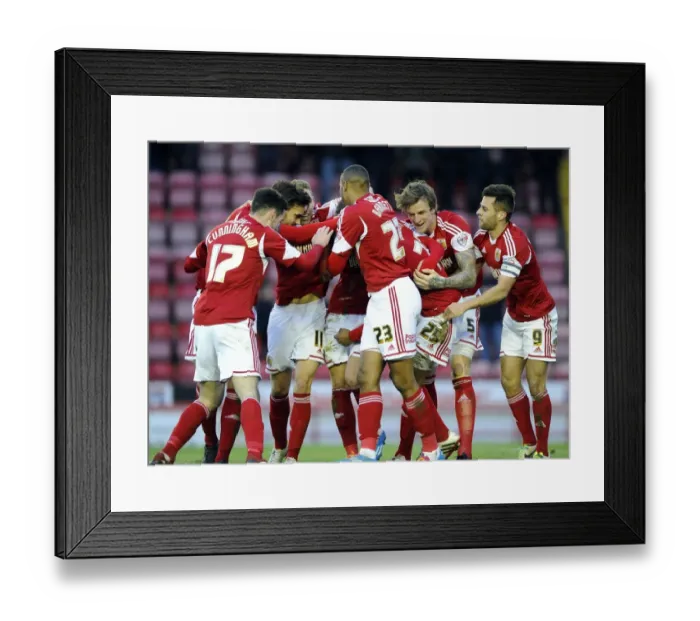 Framed Print : Clash at Ashton Gate: Bristol City vs Carlisle United - February 1, 2014 Framed Print : Clash at Ashton Gate: Bristol City vs Carlisle United - February 1, 2014