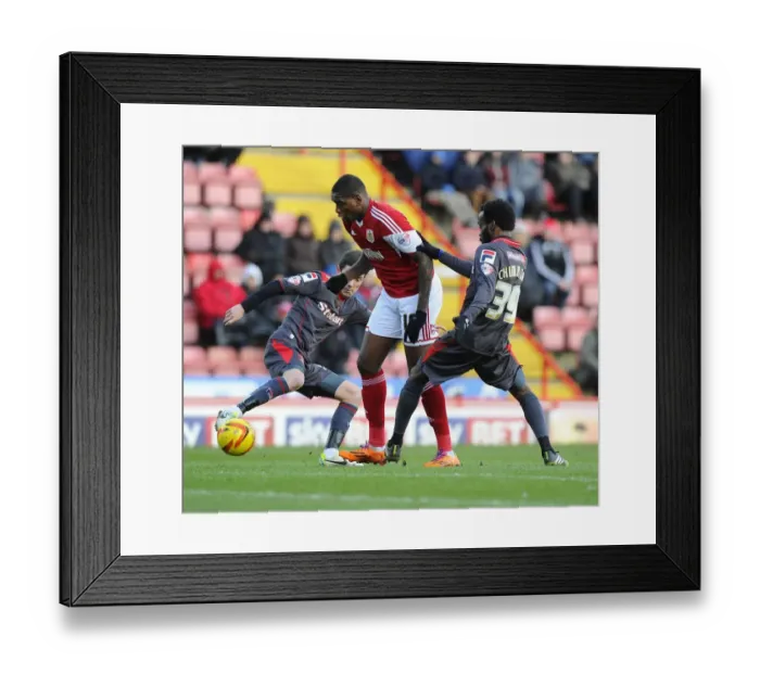 Framed Print : Bristol City v Carlisle United 010214 Framed Print : Bristol City v Carlisle United 010214