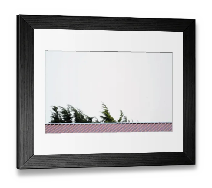 Framed Print : Intense Rivalry: Bristol City vs Carlisle United in Sky Bet League One (01 / 02 / 2014) Framed Print : Intense Rivalry: Bristol City vs Carlisle United in Sky Bet League One (01 / 02 / 2014)