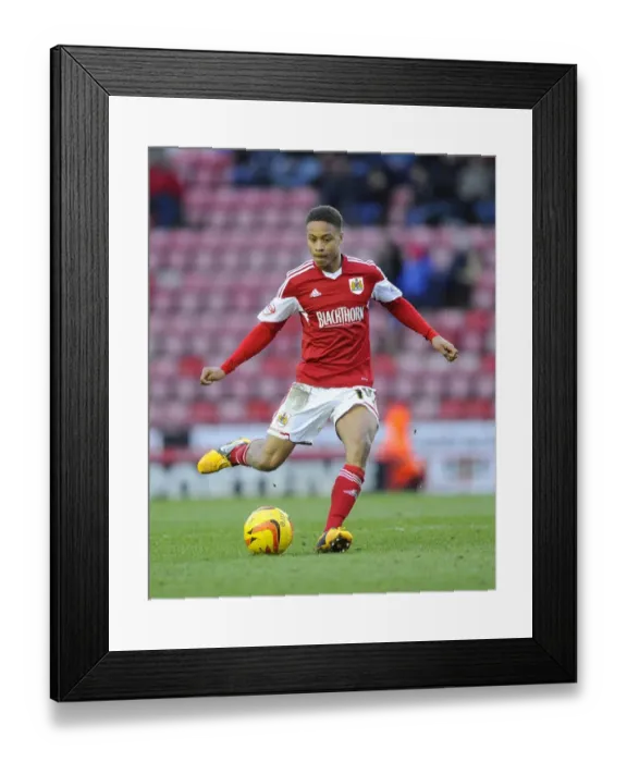 Framed Print : Bobby Reid in Action: Bristol City vs. Carlisle United, Sky Bet League One, Ashton Gate, 2014