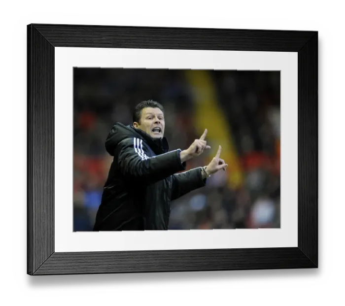 Framed Print : Steve Cotterill Leads Bristol City on the Field against Carlisle United, 2014 Framed Print : Steve Cotterill Leads Bristol City on the Field against Carlisle United, 2014