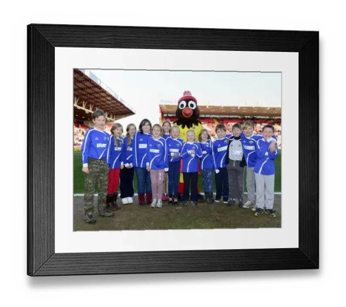 Framed Print : Bristol City vs Carlisle United: A Football Rivalry Flares in Sky Bet League One at Ashton Gate (01 / 02 / 2014) Framed Print : Bristol City vs Carlisle United: A Football Rivalry Flares in Sky Bet League One at Ashton Gate (01 / 02 / 2014)