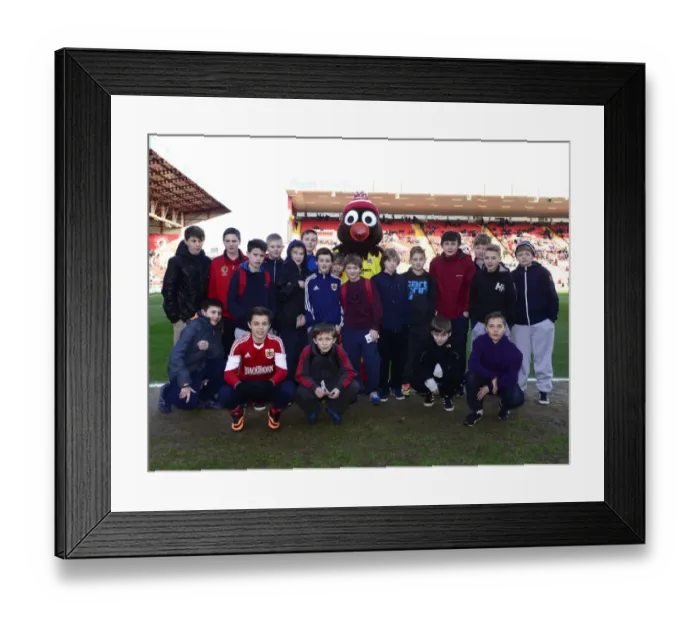 Framed Print : Intense Rivalry: Bristol City vs Carlisle United in Sky Bet League One (01 / 02 / 2014)