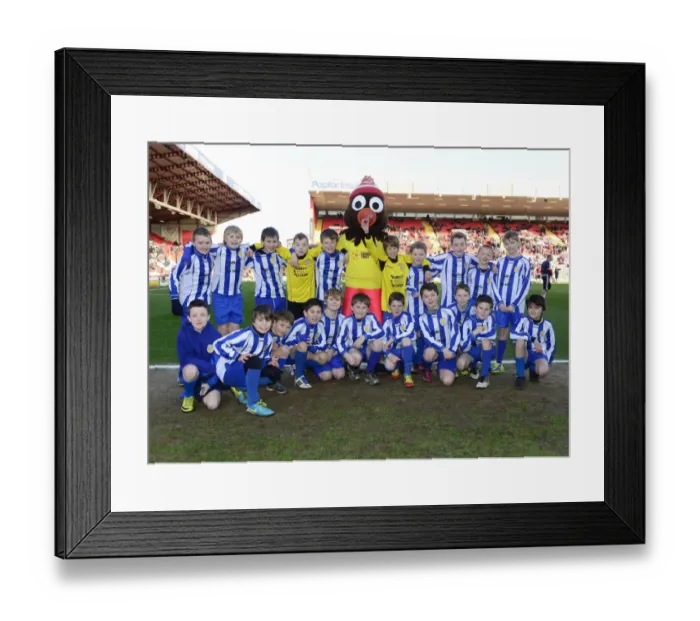 Framed Print : Intense Rivalry: Bristol City vs Carlisle United in Sky Bet League One (01 / 02 / 2014)