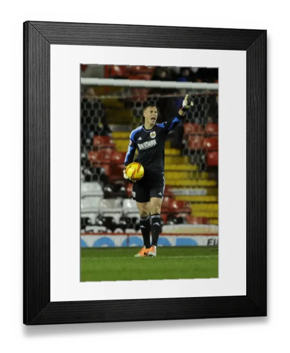 Framed Print : Bristol City's Simon Moore in Action Against Coventry City (Feb 4, 2014, Ashton Gate) Framed Print : Bristol City's Simon Moore in Action Against Coventry City (Feb 4, 2014, Ashton Gate)