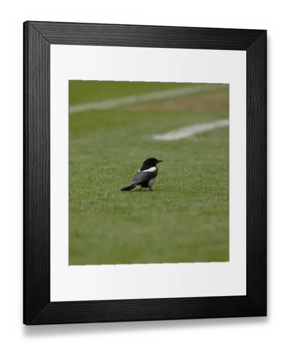 Framed Print : Stoke City vs. Bristol City: A Football Rivalry - Season 07-08 Framed Print : Stoke City vs. Bristol City: A Football Rivalry - Season 07-08