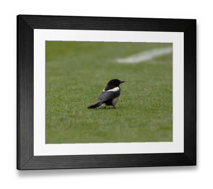 Framed Print : Stoke City vs. Bristol City: A Football Rivalry - Season 07-08