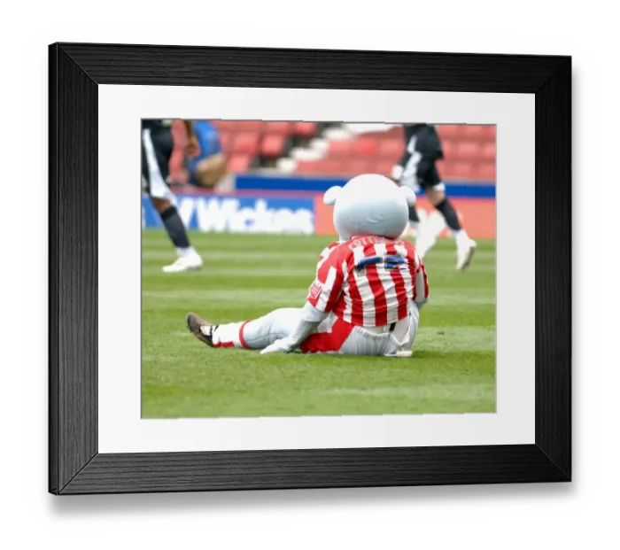 Framed Print : Stoke City vs. Bristol City: A Football Rivalry - Season 07-08 Framed Print : Stoke City vs. Bristol City: A Football Rivalry - Season 07-08