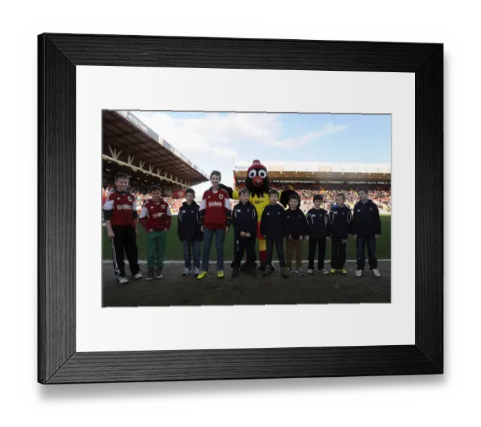 Framed Print : Flag Bearers Clash: Bristol City vs Tranmere Rovers, Sky Bet League One, Ashton Gate